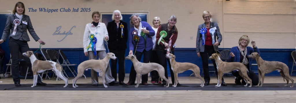 Limited Dog Show 2015